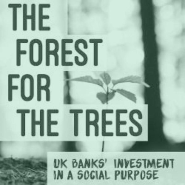 Forest For The Trees